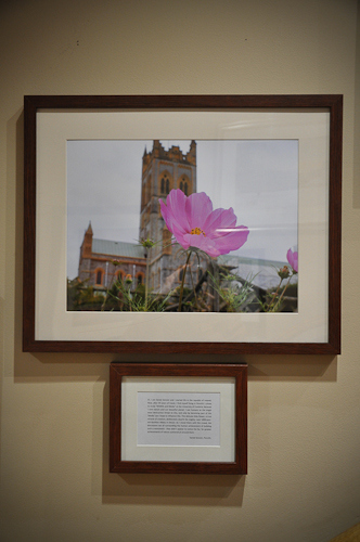 Daniel Sencier - Abbey