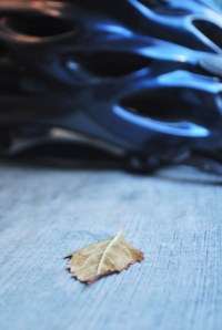 Biking Opportunities