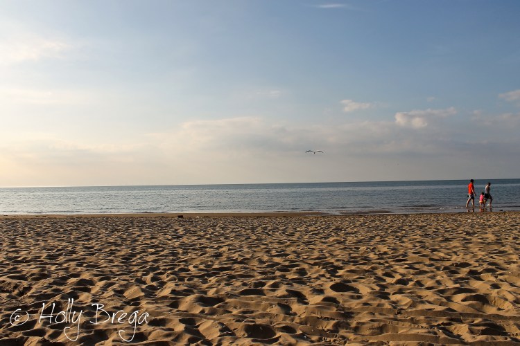 A Sandy Holkham Scene