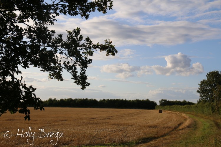 The Lonely Heston Bale