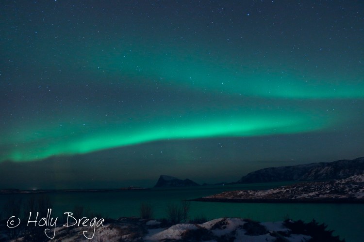 aurora borealis over the sea