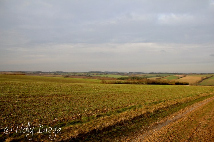 Footpaths in Suffolk