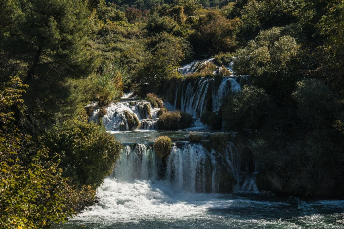 Let’s Explore … The&nbsp;Blog