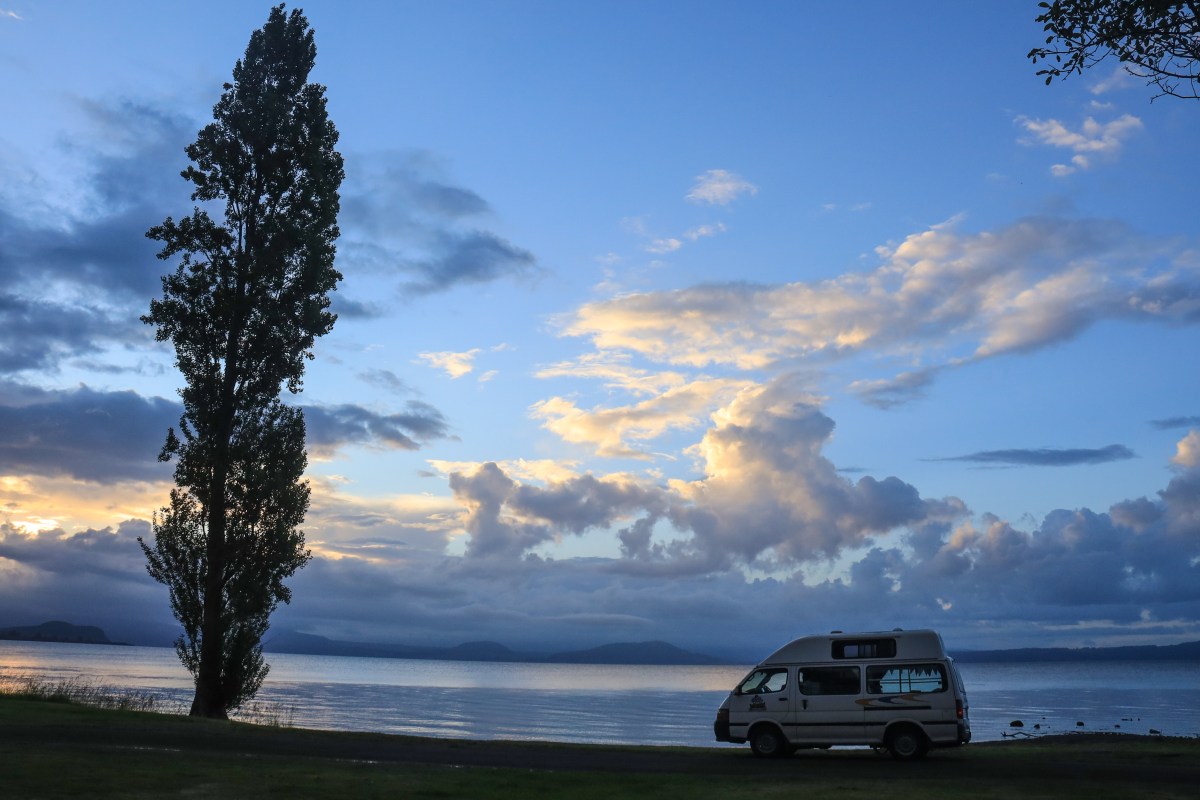 Six Weeks in New&nbsp;Zealand