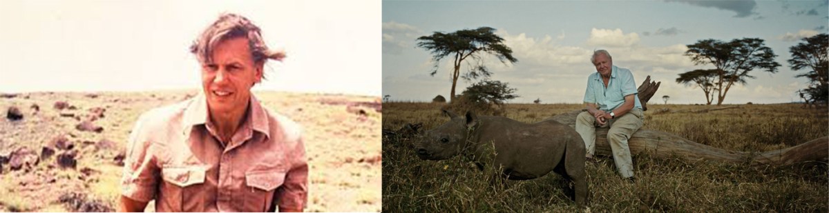 The Evolution and Popularisation of The Wildlife&nbsp;Documentary