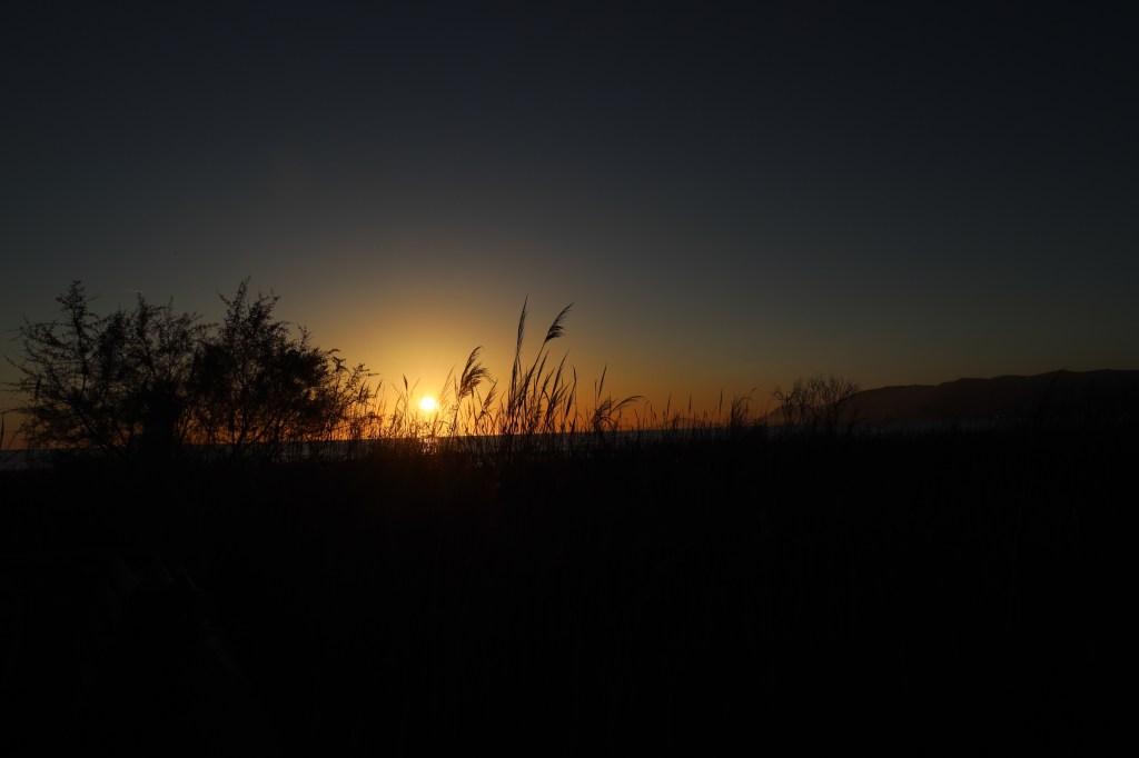 Bar Ledh, Kune Shëngjin