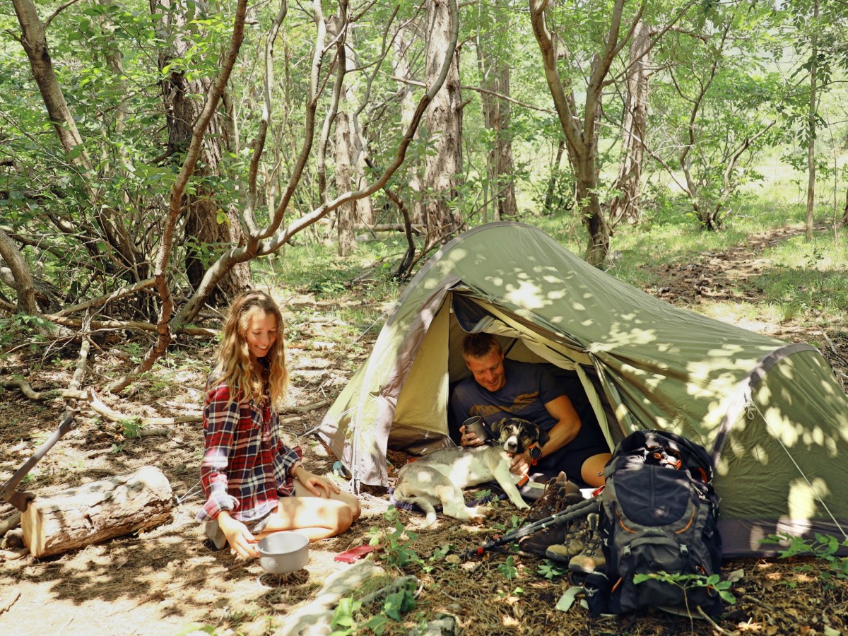 Camping in the&nbsp;forest