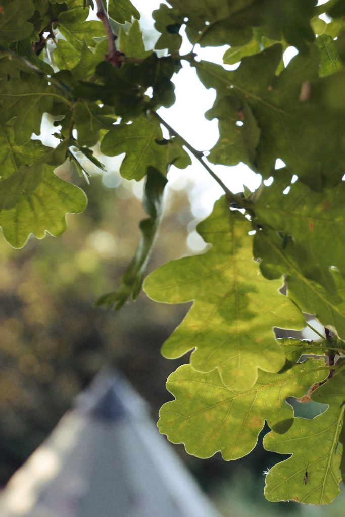 Robens Klondike PRS Tent