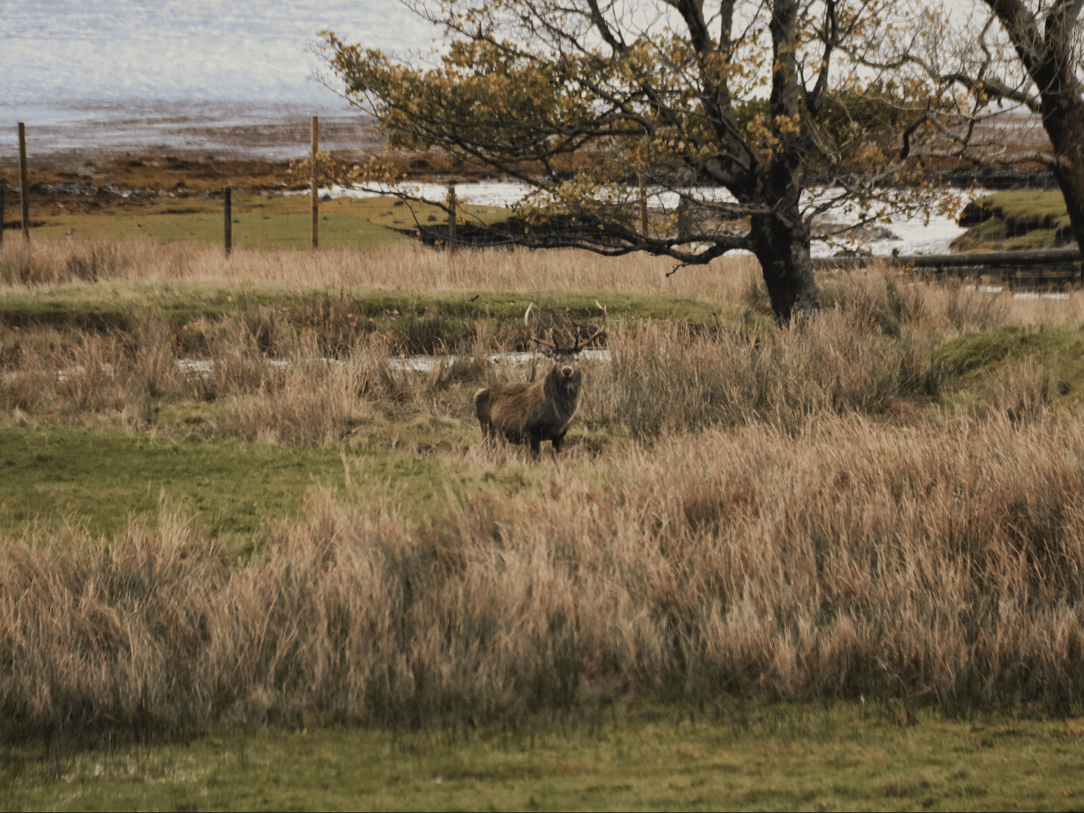 Holly Brega Why I Love Scotland